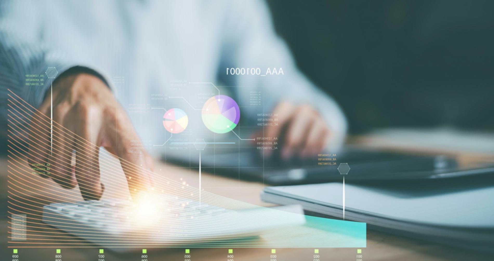 Professional SEO audit workspace